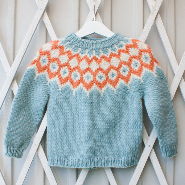 Kids Knitting Kit, Beginner Knitting Patterns for Kids Jumpers & Sweaters