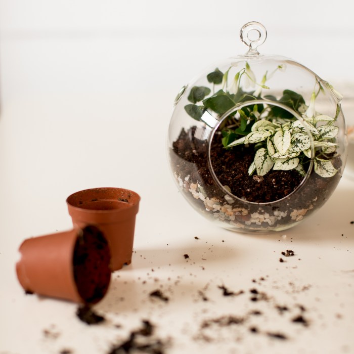 Miniature Terrarium DIY