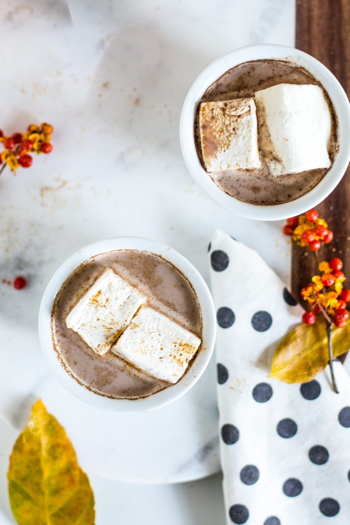 Cayenne Cinnamon Hot Cocoa-2702