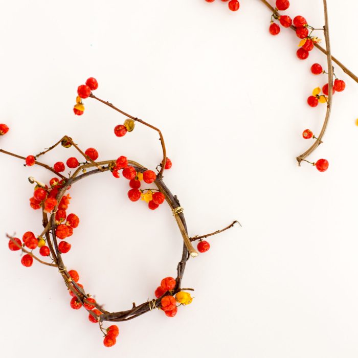 Holiday Wreath How To