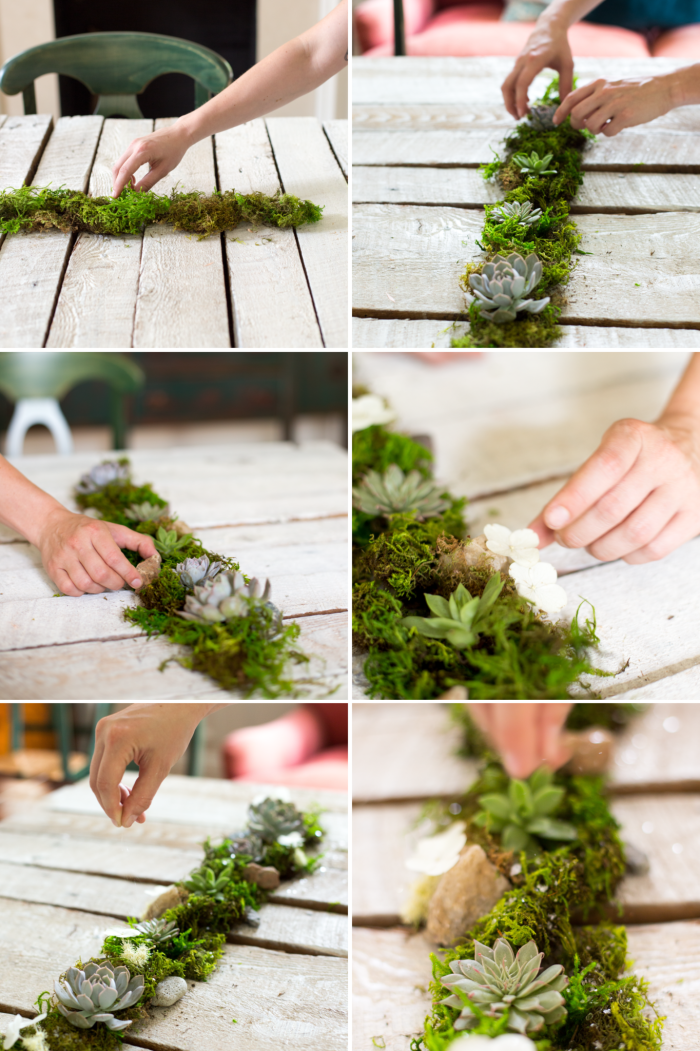 DIY Succulent Centerpiece