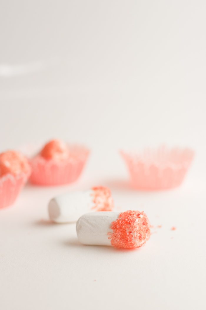 sugar dipped marshmallow-9788
