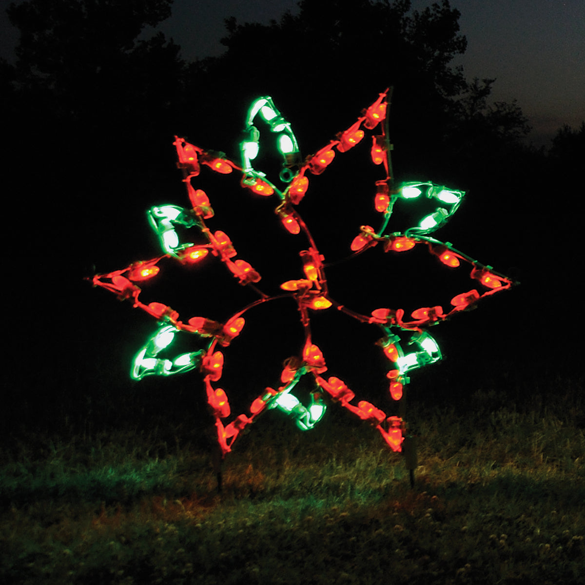 Small Poinsettia Outdoor Christmas Lights — HolidayLights.com