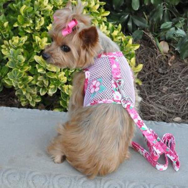 pink dog harness and leash