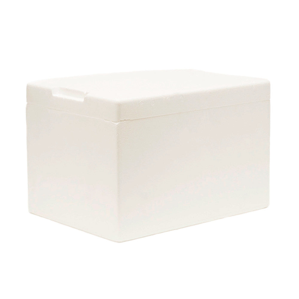 Polystyrene Esky - Medical Box, 10kg 