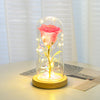 Valentines Day GiftFor Girlfriend Eternal Rose Flowers LED Light In Glass Cover Day Wedding Decoration Favors Mother Day Female GiftGift