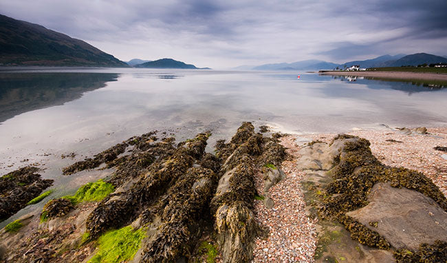 Loch Linnhe