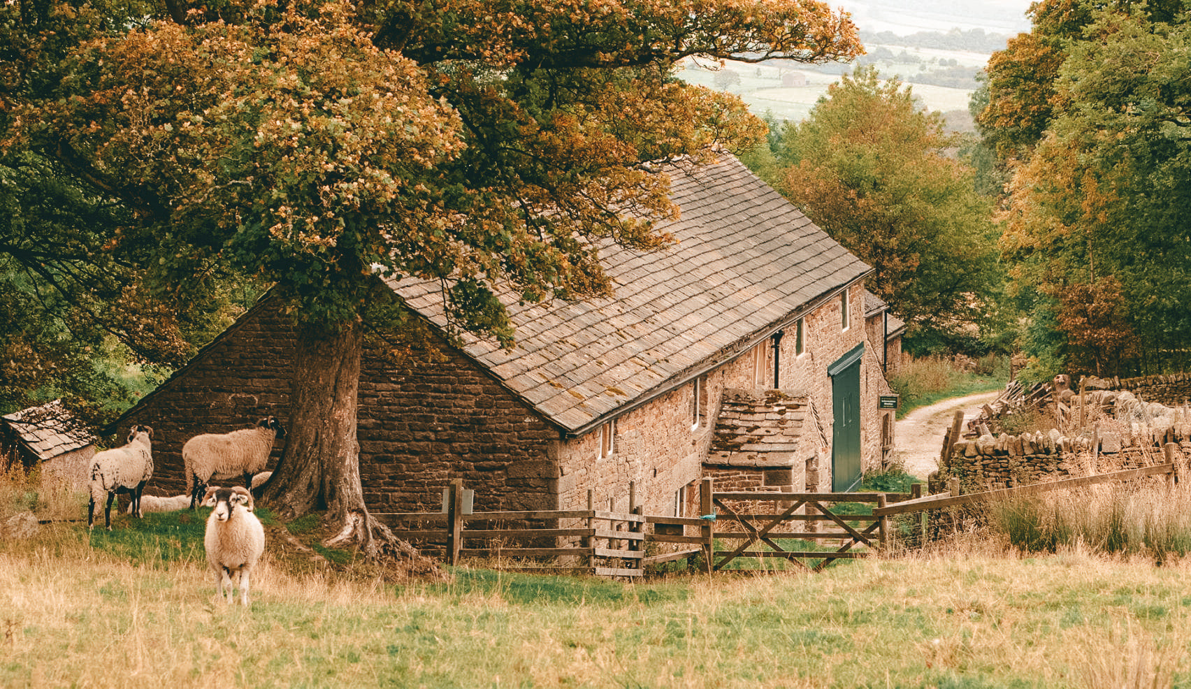 Dalehead Bunkhouse