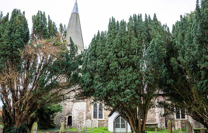 Forwich Church