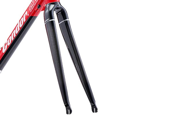 Lightweight Carbon Fork