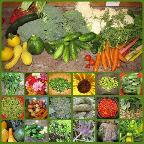 collage of vegetables and some flowers