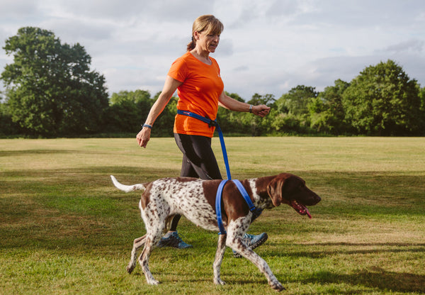 Dog power walking belt