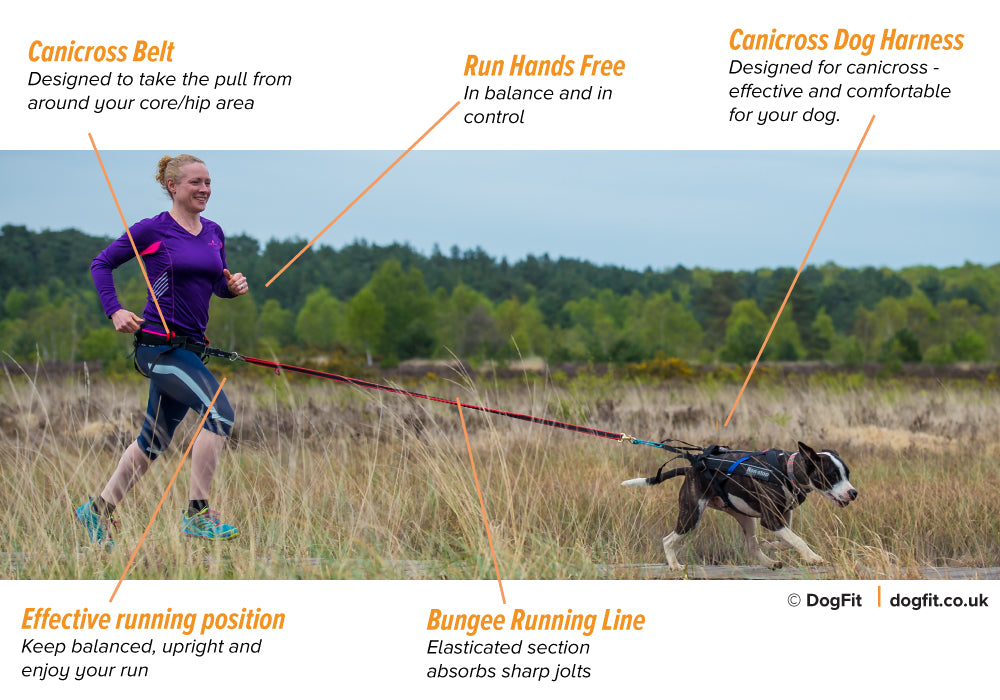 Canicross kit - running with your dog