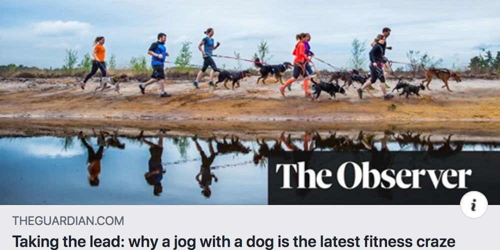 DogFit Interview in The Guardian