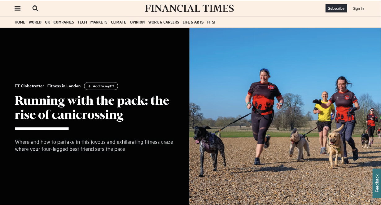 DogFit featuring in The Financial Times