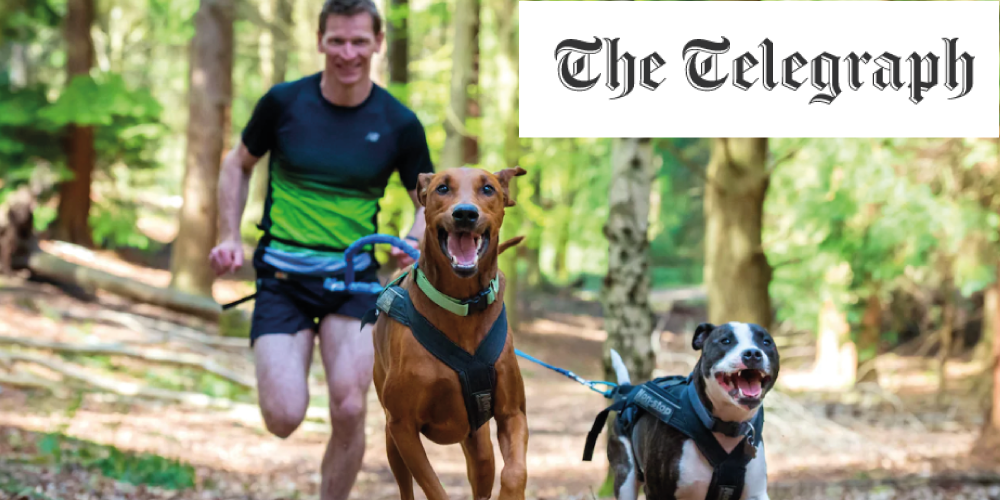 DogFit in The Telegraph