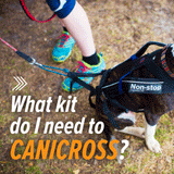 What Kit do I need to Canicross