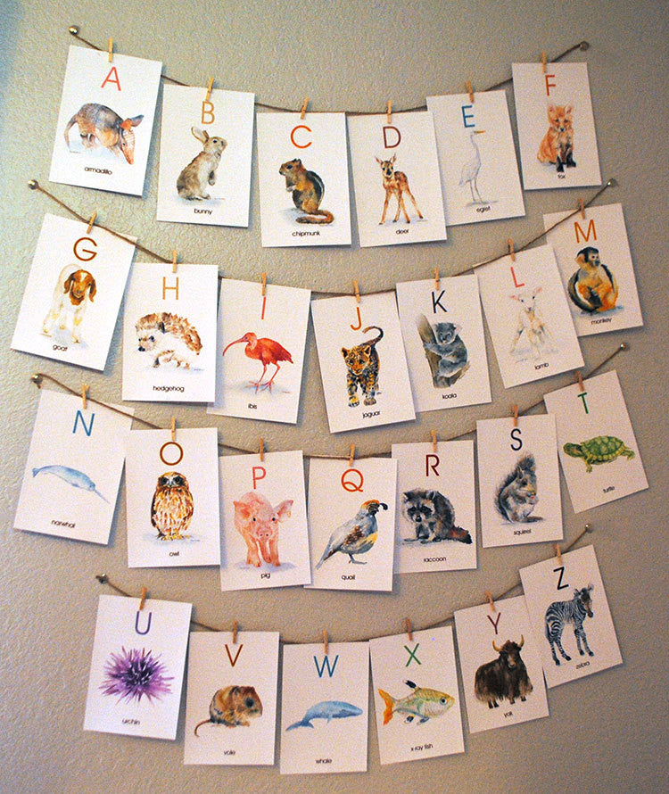 Animal Alphabet Flash Cards - 4 x 6 - Susan Windsor