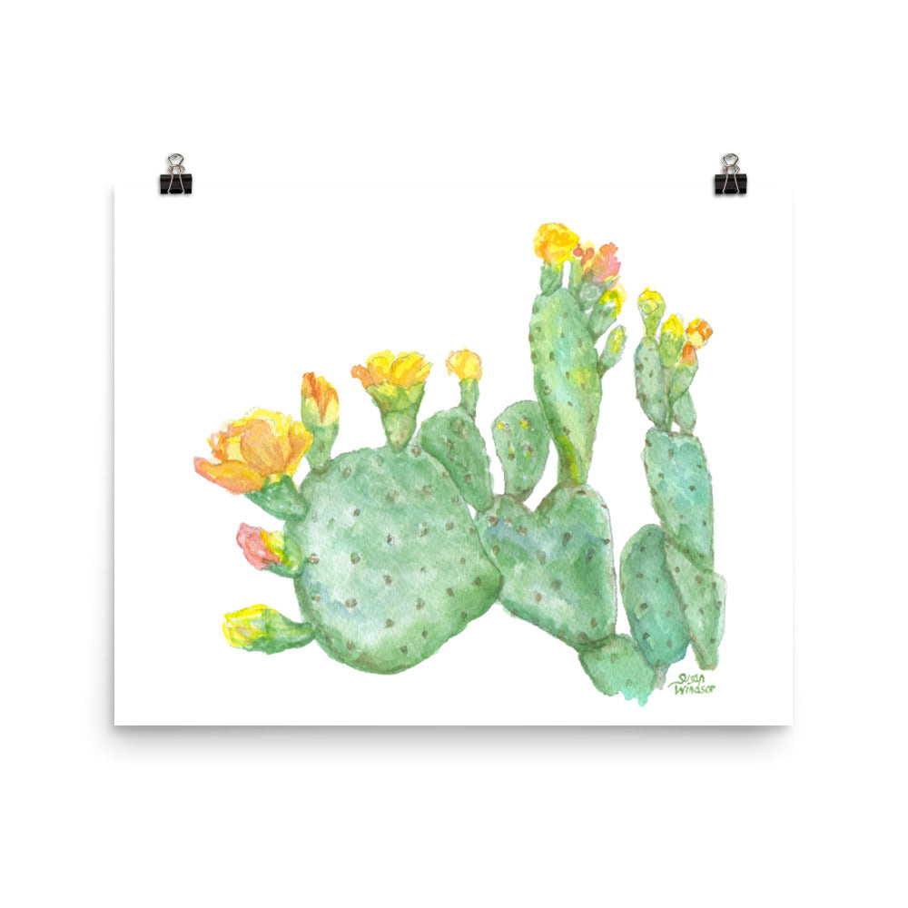 prickly pear cactus painting