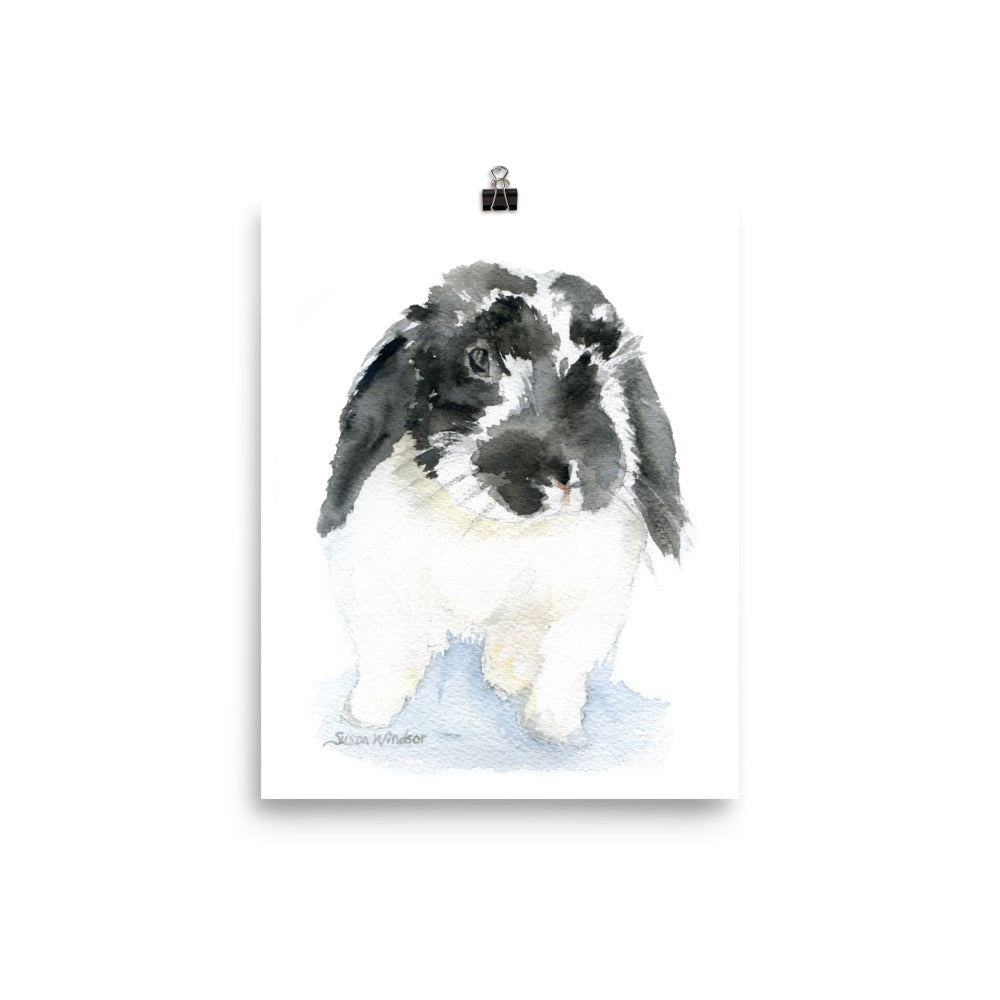 Black and White Lop Bunny Rabbit Watercolor – Susan Windsor