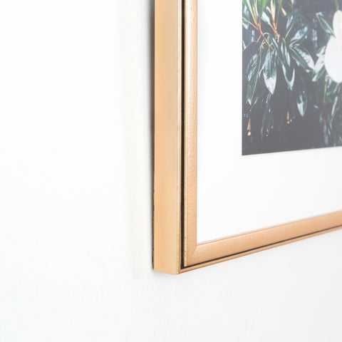 Custom Framing | Sterling and Burke | Washington, DC