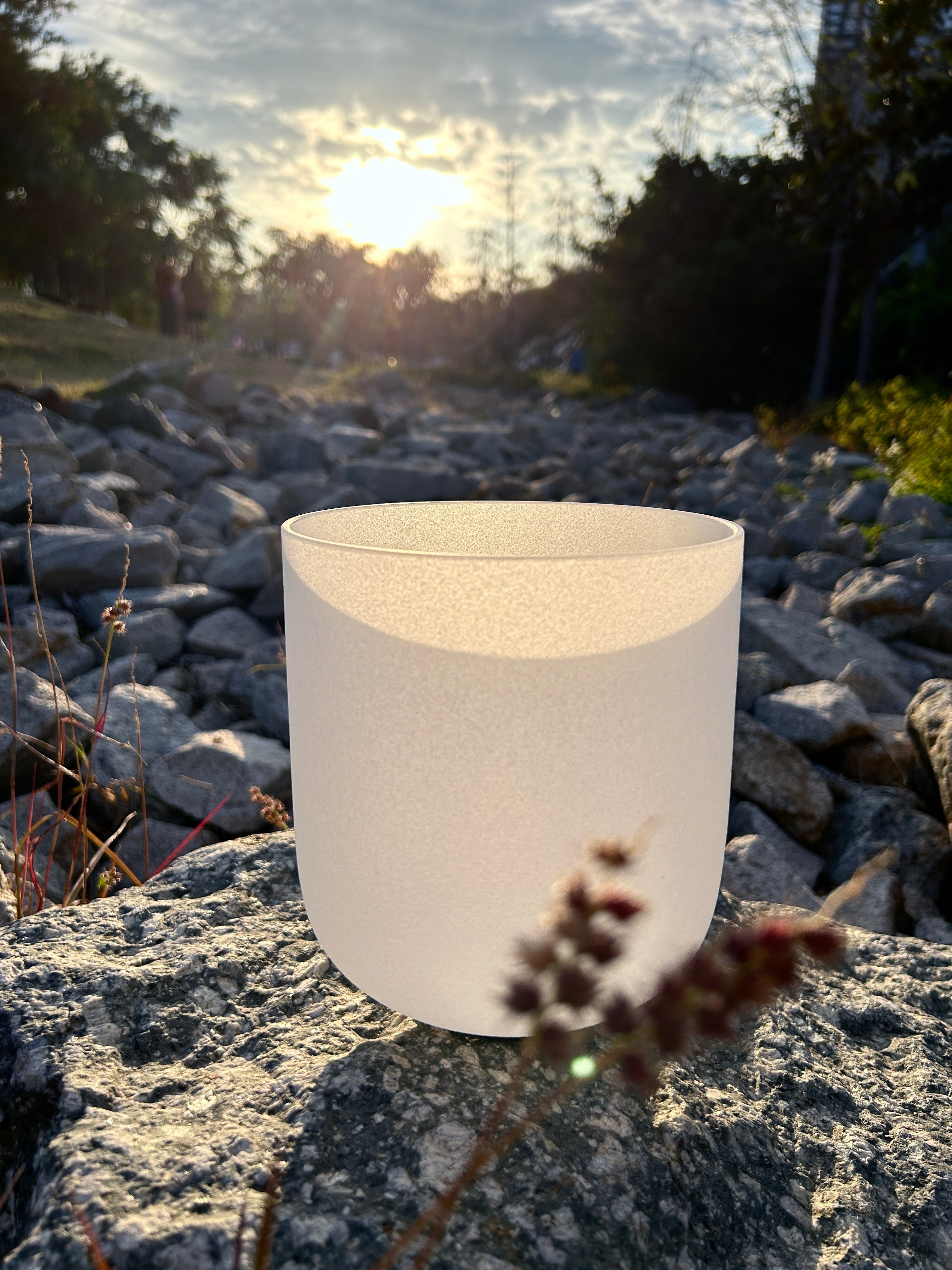 A white frosted crystal singing bowl is on a rock. With tree and sunset as a background, the vibe is relaxing and calming.