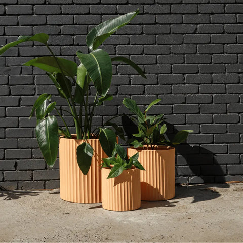 Contemporary garden planters complementing outdoor decor in Rome homes