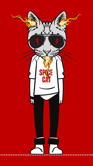 Dude Spice Cat.jpg__PID:b5be06f2-8191-4505-87d3-8dae0046a0dd