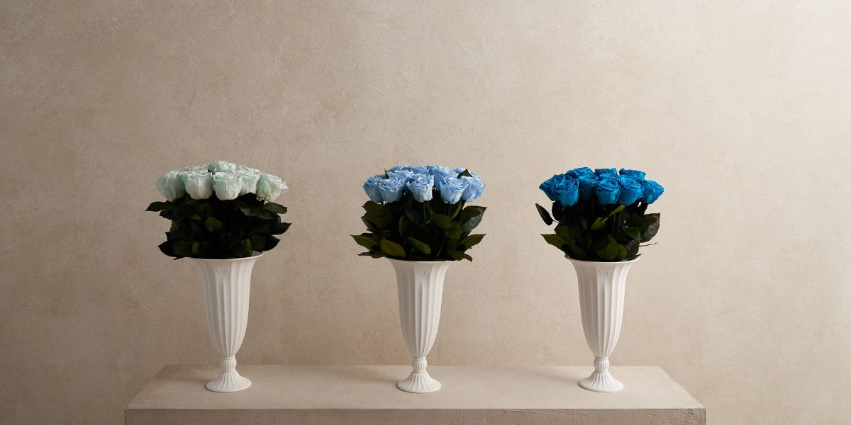 Blue Mint Eternity Roses in Aphrodite White Porcelain Vase Venus et Fleur