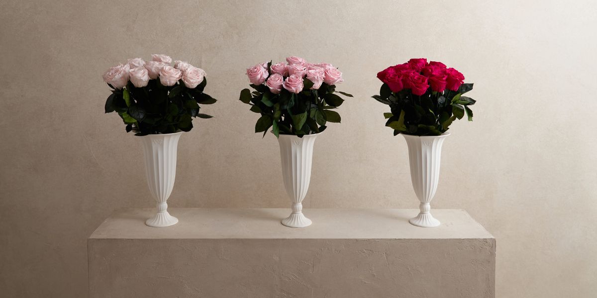 Pink White Red Long-stemmed Eternity Roses in Aphrodite Vases - Venus et Fleur
