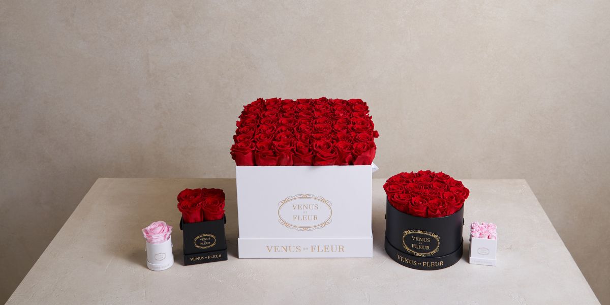 Red Pink Eternity Roses in Black White Flower Boxes Venus et Fleur