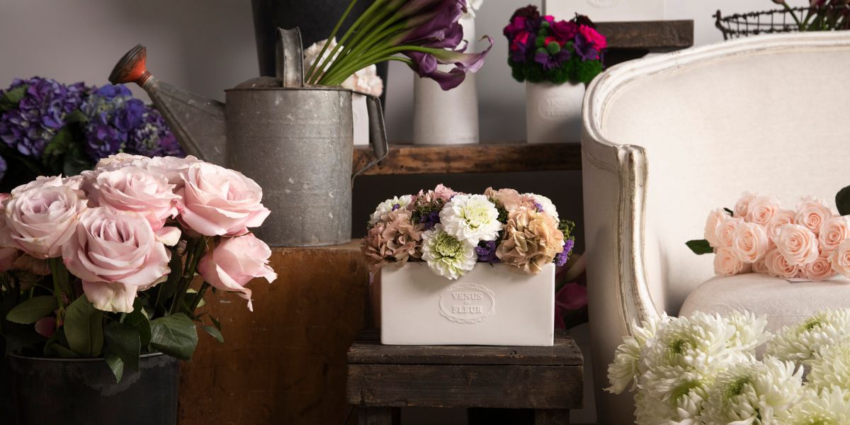 Eternity Dahlia Arrangement in White Vase on Table with Roses - Venus et Fleur
