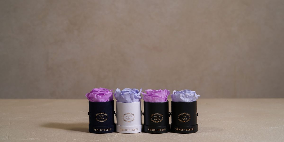 Four Purple Lilac Le Mini Eternity Rose Arrangements - Venus et Fleur