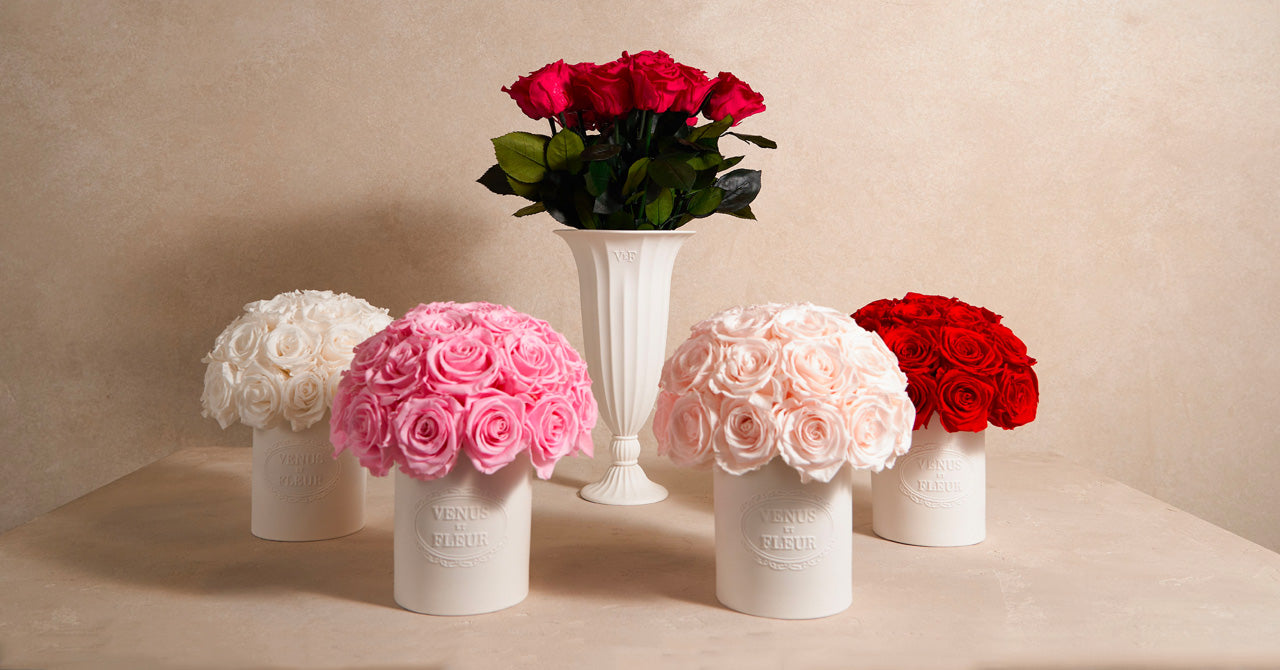 Our Long-Lasting Roses, Custom Options, and Care - Venus et Fleur®