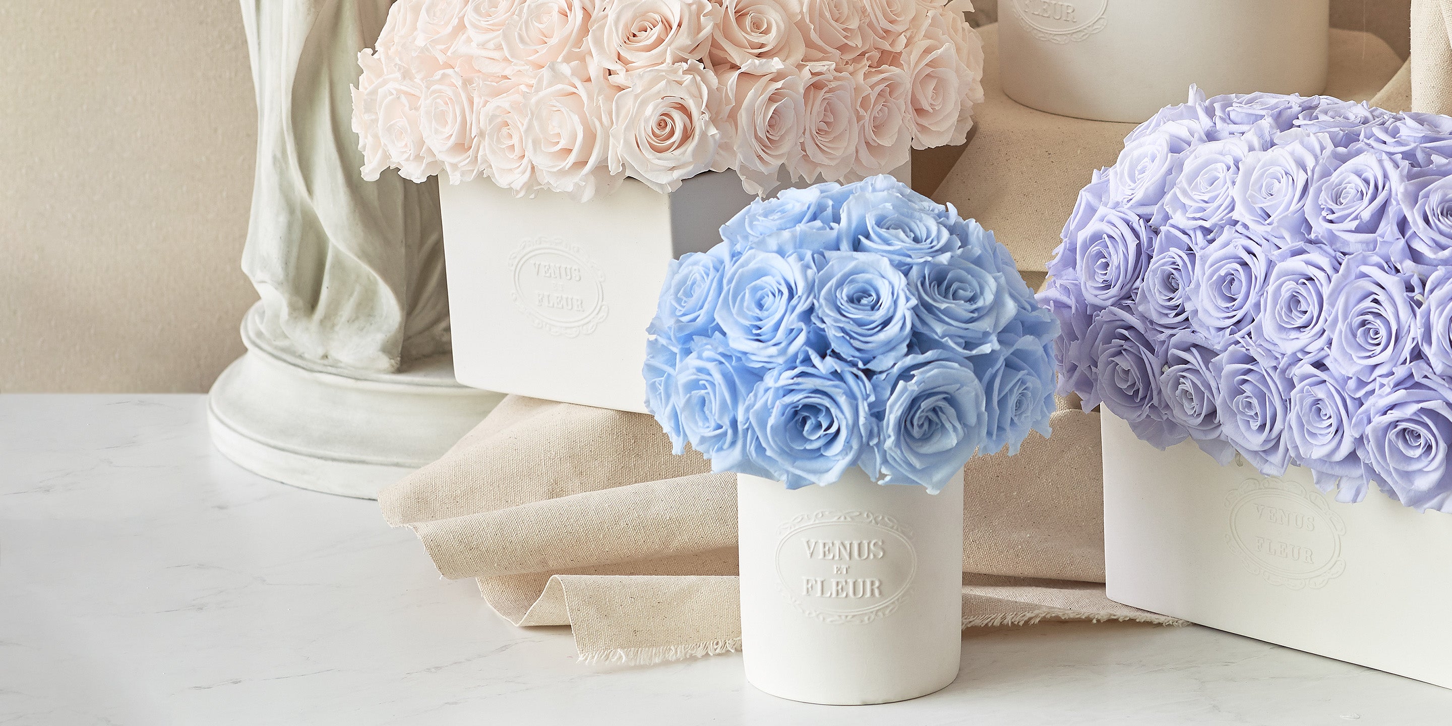 Blush Blue Purple Eternity Roses in White Vases Venus et Fleur