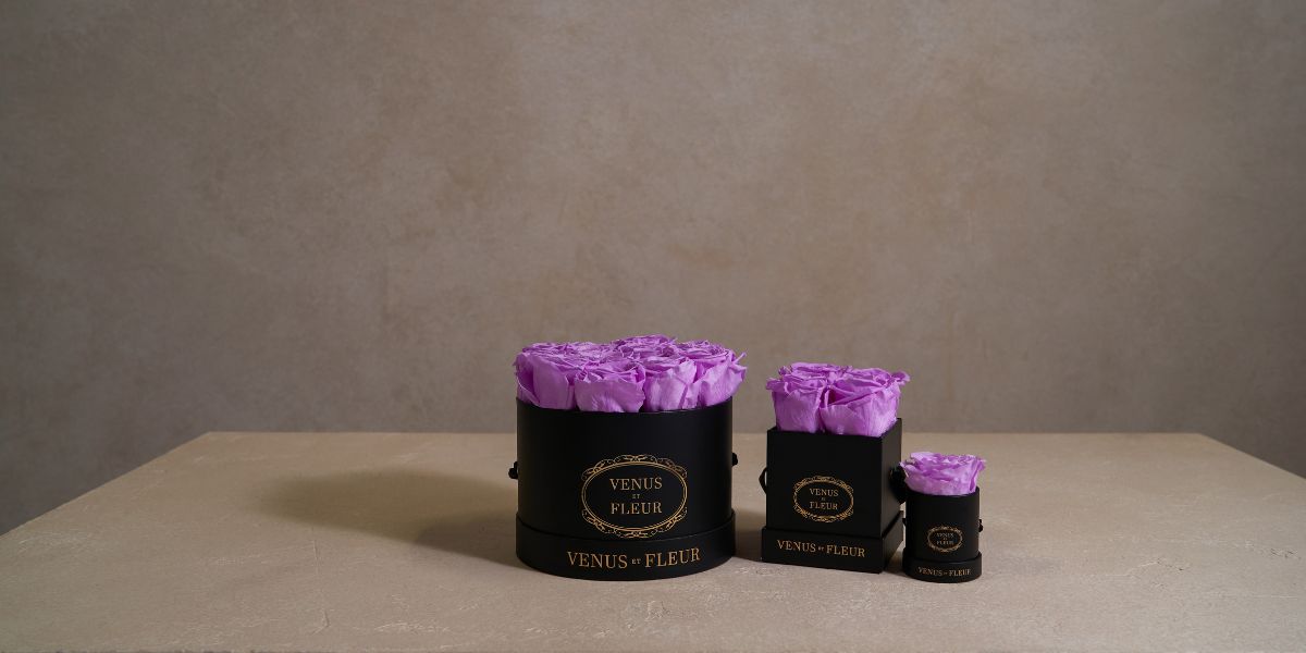 Three Lavender Flower Boxes