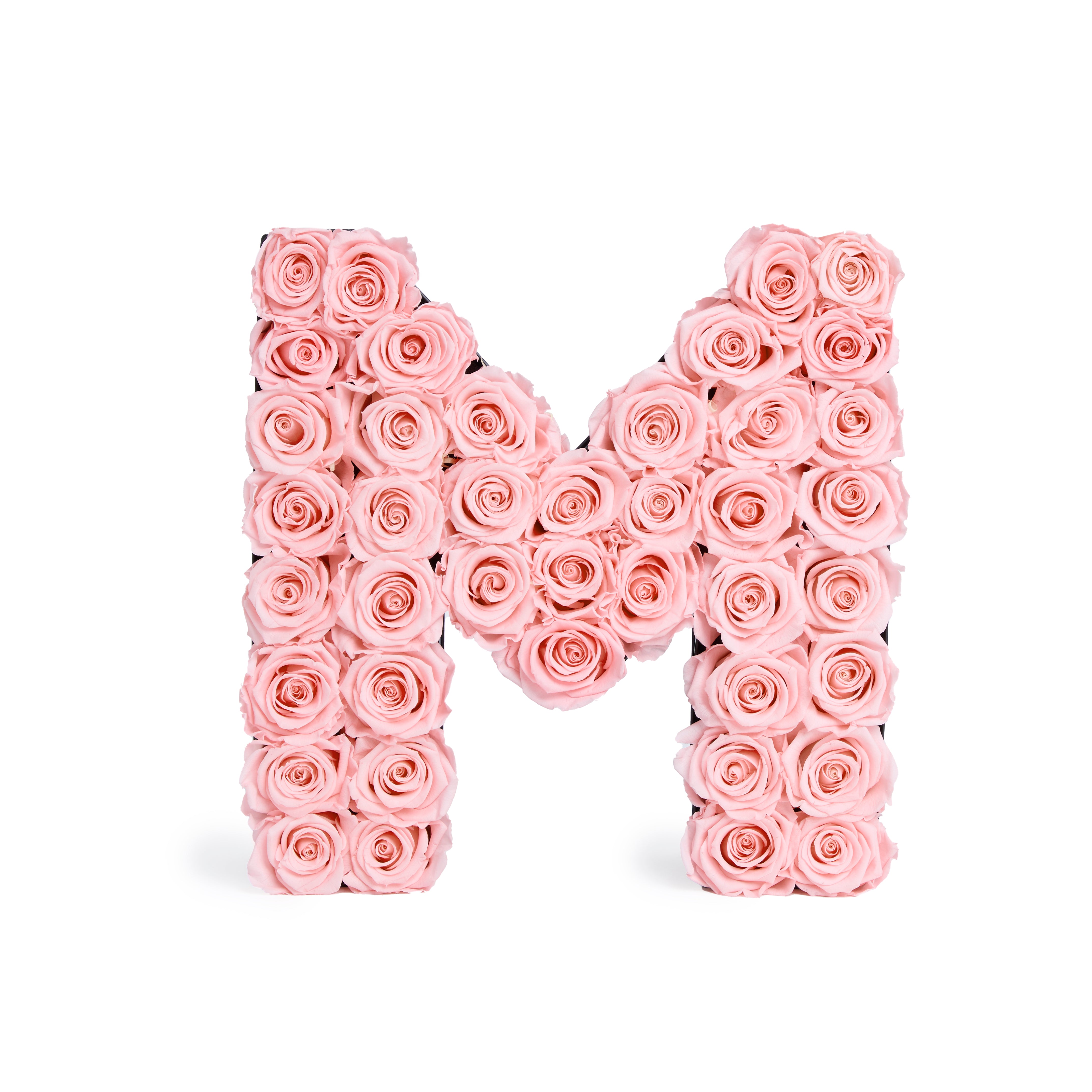 The letter 'M' formed by pink roses on a white background.