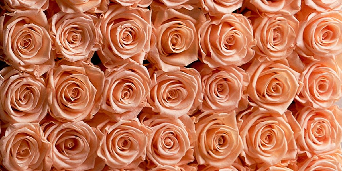 Eternity Roses - Venus et Fleur