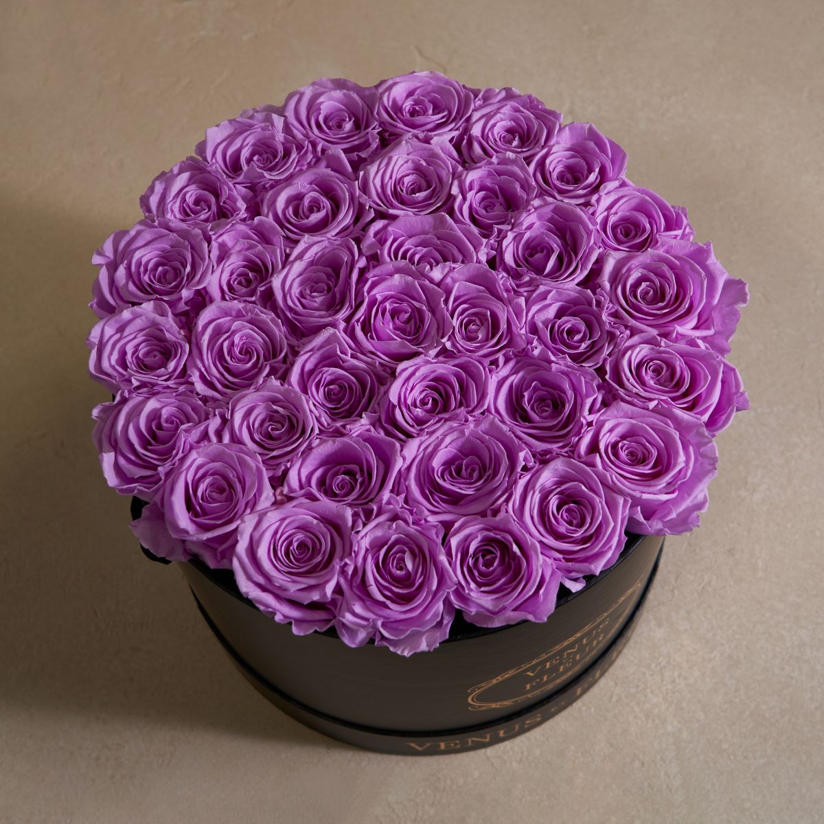 Large Round Purple Eternity Roses Venus et Fleur