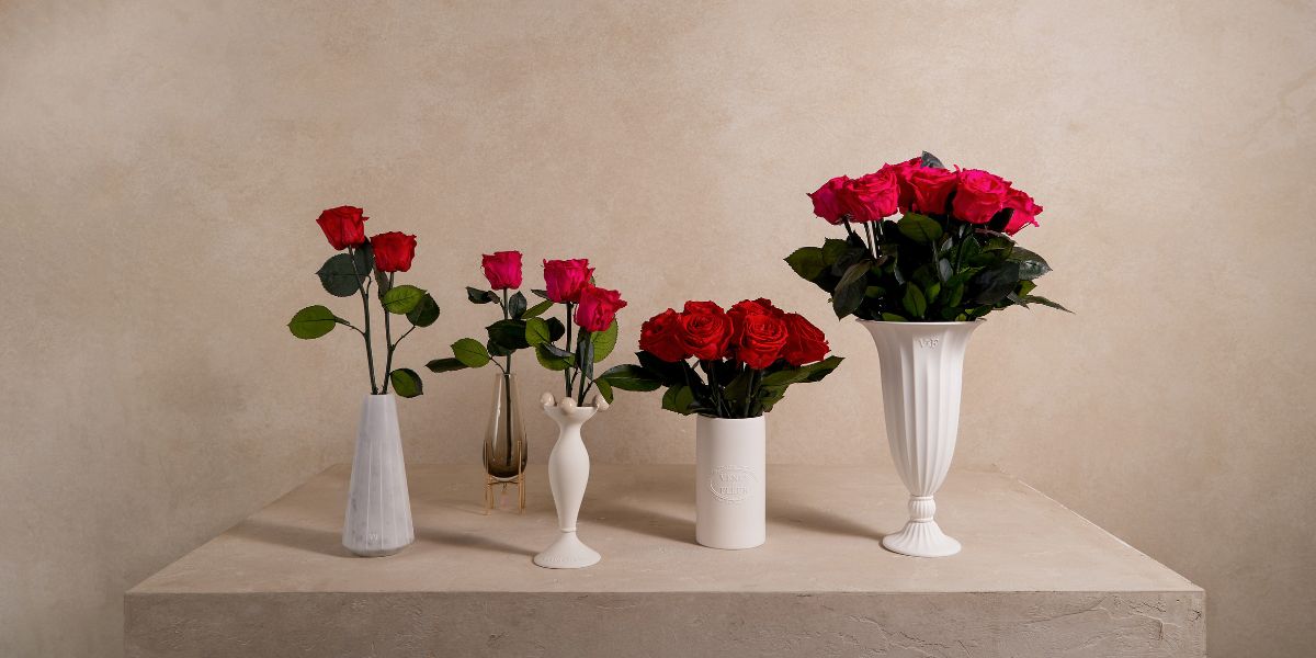 Red Roses in Vases - Venus et Fleur