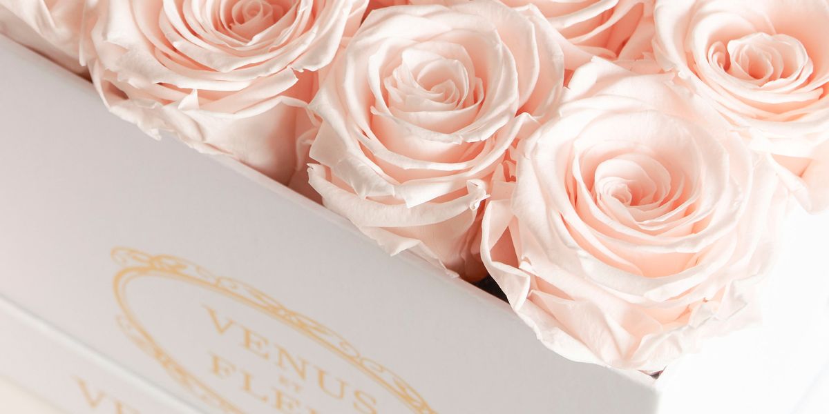 Blush Eternity Roses in White Flower Box - Venus et Fleur
