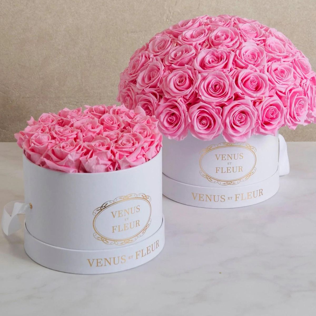 Pink Roses: Origin, Meaning, And Symbolism - Venus Et Fleur®