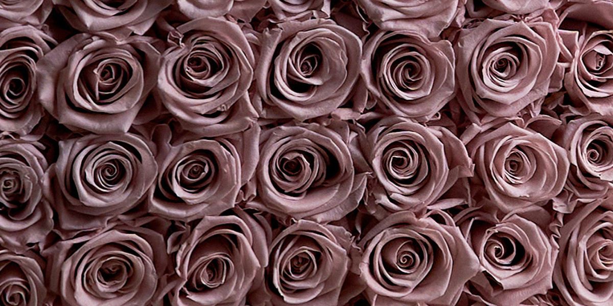 Purple Eternity Roses - Venus et Fleur