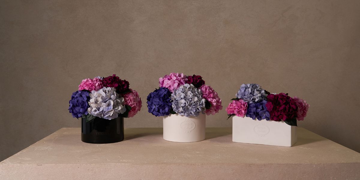 Three Multi Colored Eternity Hydrangea Flower Arrangements in White Porcelain and Black Glass Vases by Venus et Fleur