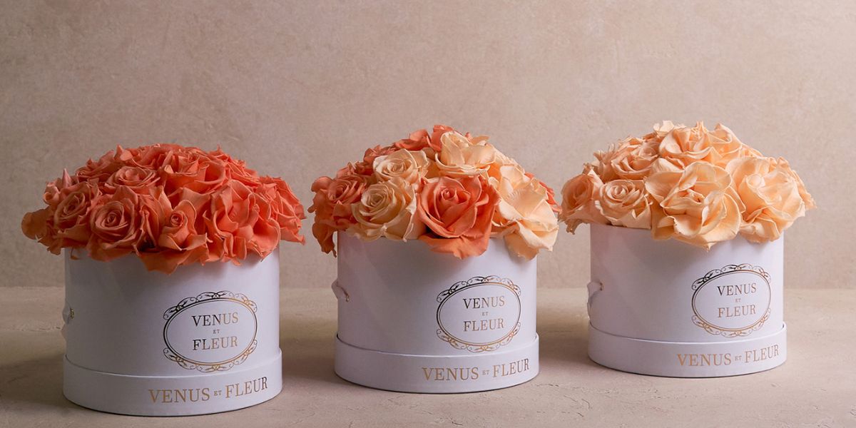 Papaya Orange Eternity Rose Arrangements in White Classic Flowe Boxes- Venus et Fleur