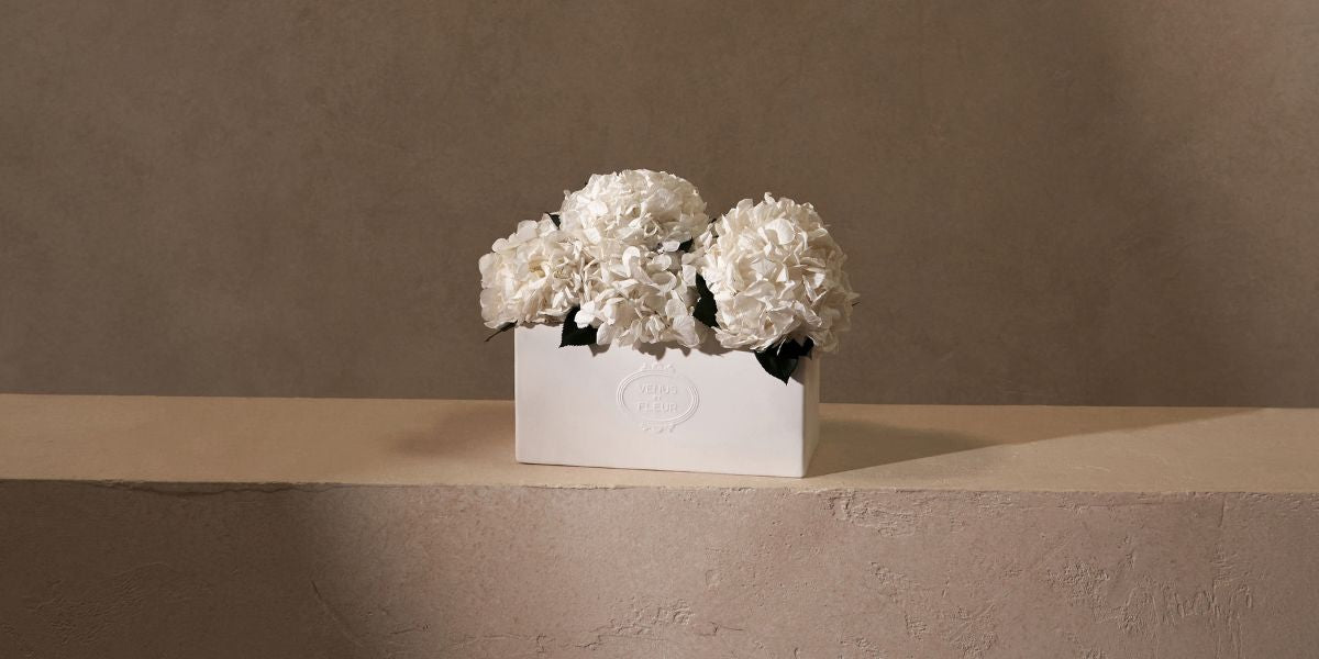 White Hydrangea Flower Eternity Arrangement in White Porcelain Vase by Venus et Fleur