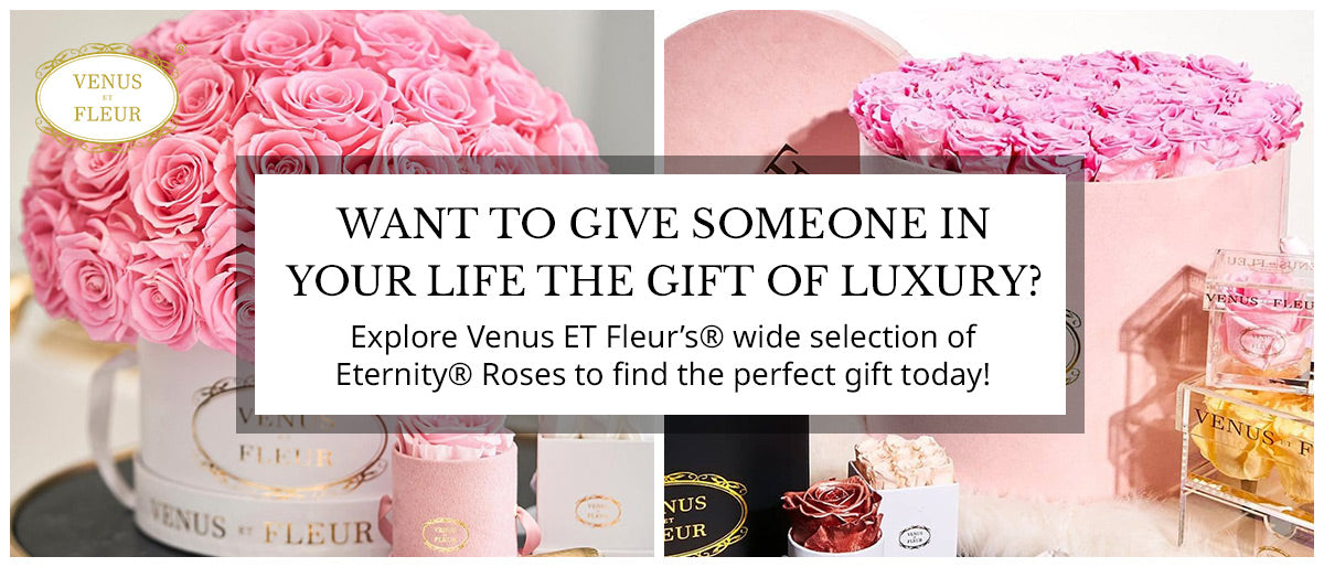 Eternityroses Faqs Learn About Our Roses Venus Et Fleur