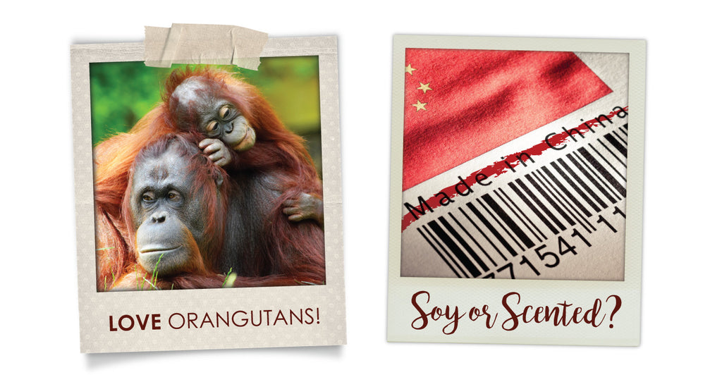 100% soy wax nz