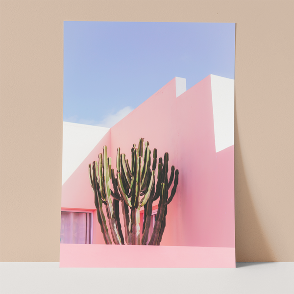 Cactus on Pink Wall Wall print