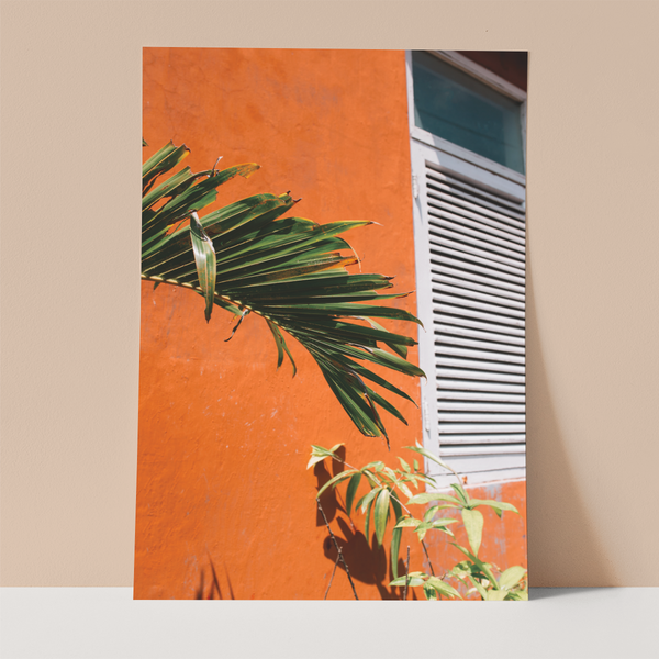 Orange Wall and Palm Wall print